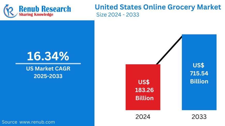 United States Online Grocery Market Insights 2025-2033| Growth & Opportunity Analysis
