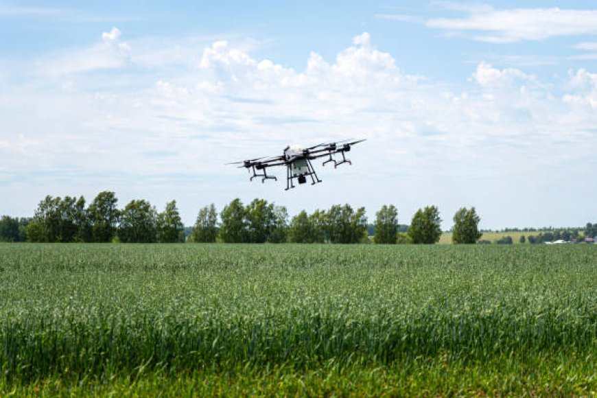 Field Management Systems: Tools for Smarter Farming