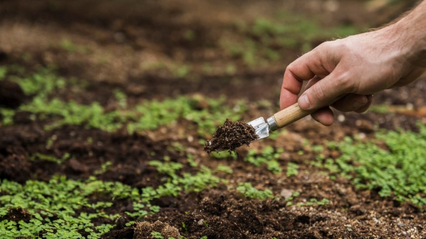 Organic-Inorganic Fertilizer Equipment for High-Quality NPK Production