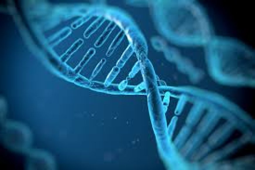 Genetic Testing Market Size and Share Analysis - Growth Trends and Forecast Report 2025-2033