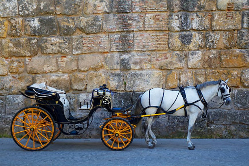Palace on Wheels Train Tour: A Royal Journey Across India