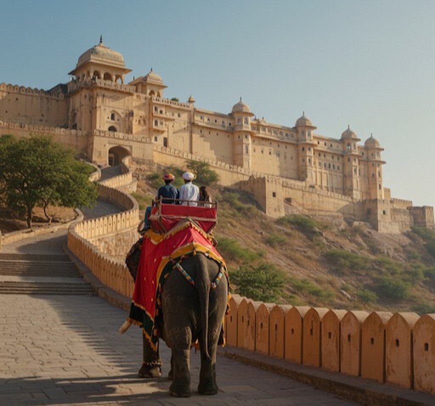 Planning Your Amer Fort Elephant Ride: Tips, Timings, and Ticket Info