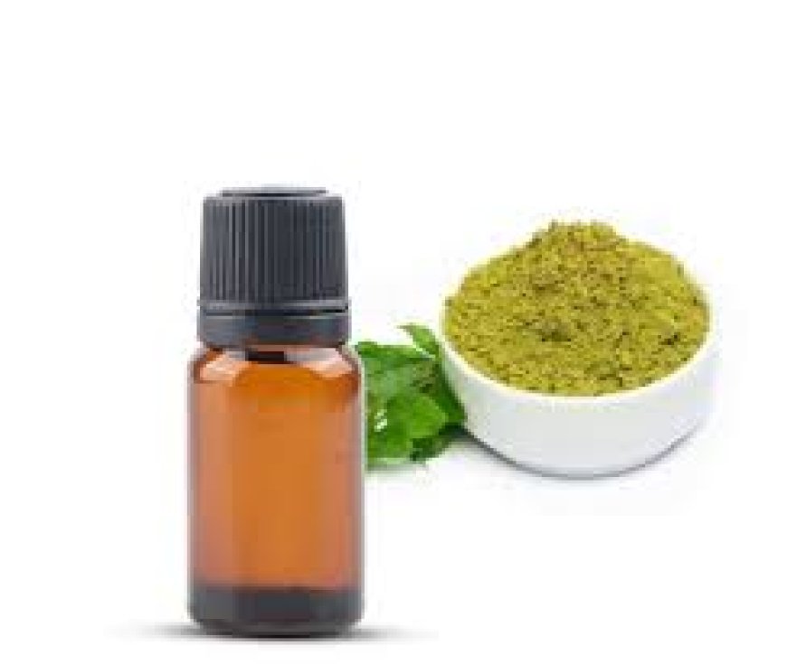 Trusted Herbal Extracts Supplier for Bulk & Wholesale