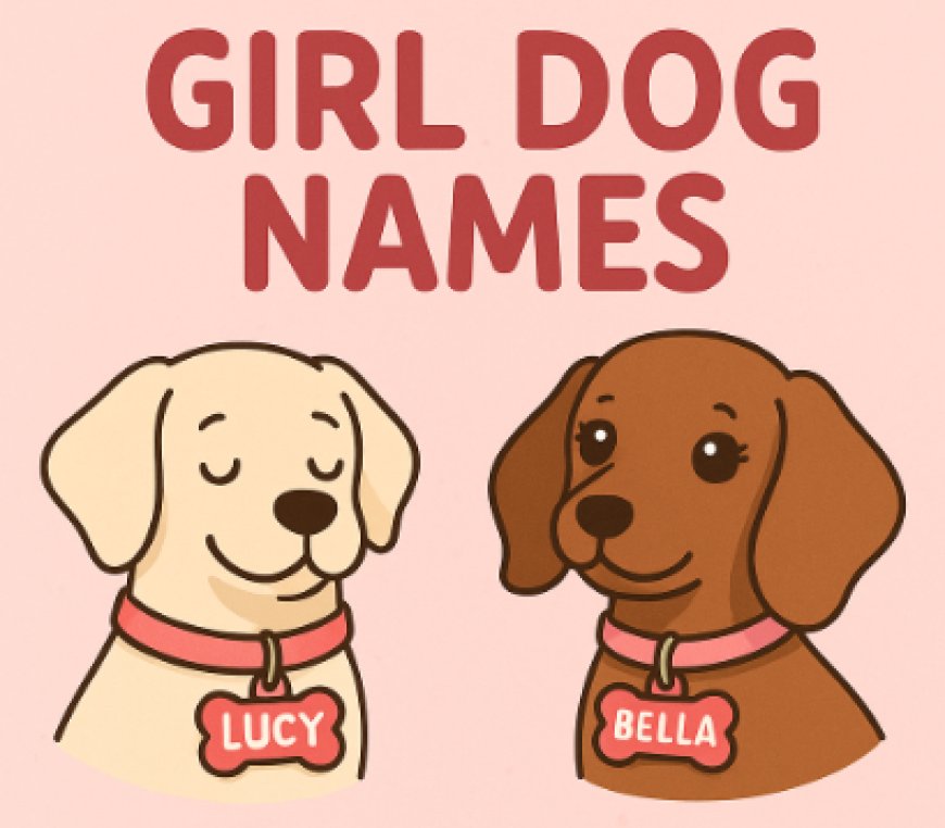 Find the Perfect Name for Your Girl Dog: Cute, Strong & Fun Ideas
