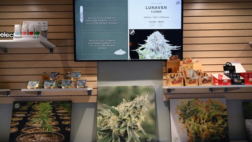 Flavors Cannabis Dispensary: A Game-Changer in the Cannabis Industry