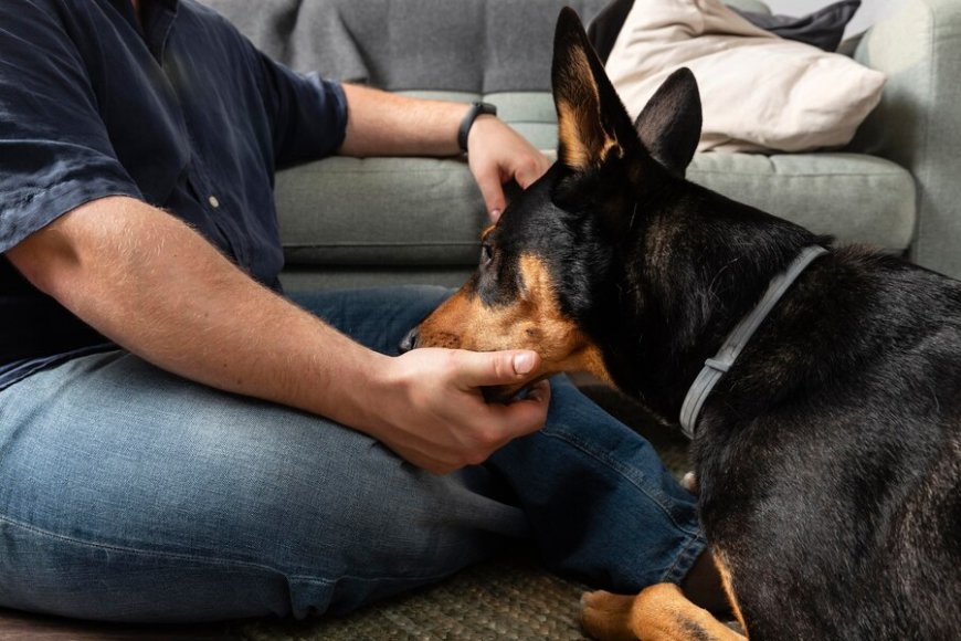 Fenbendazole Tablet: Treatment and control of Roundworms