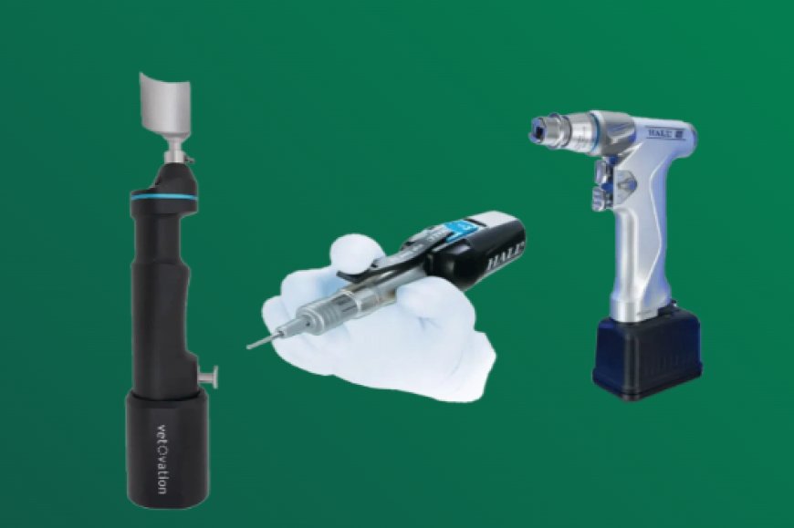 Endoscopy Equipment for Precision in Veterinary Care