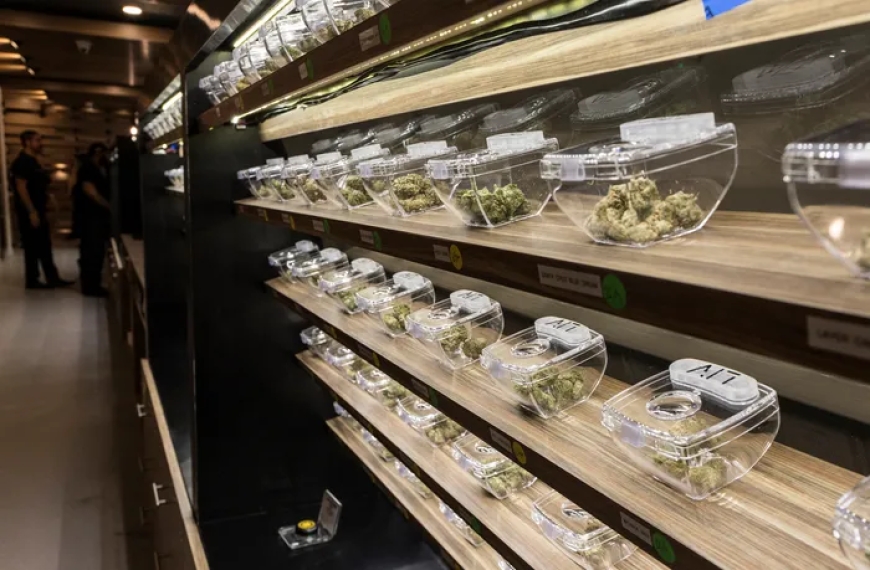 Looking for the Best Weed Dispensary Ferndale? Here's What You Need to Know!