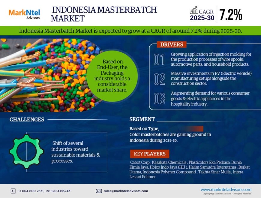Indonesia Masterbatch Market Competitive Landscape and Future Outlook 2030