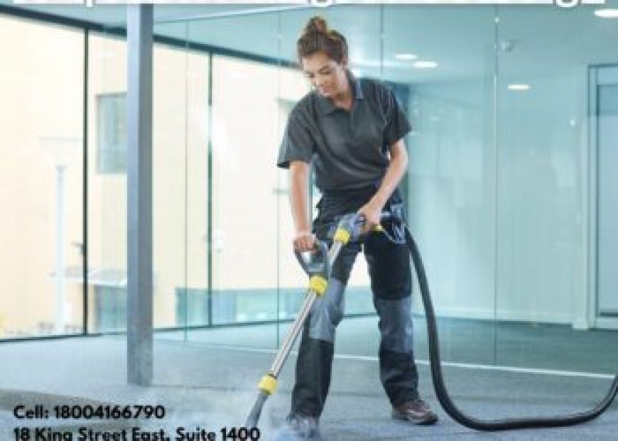 The Future of Carpet Cleaning Services Is Green