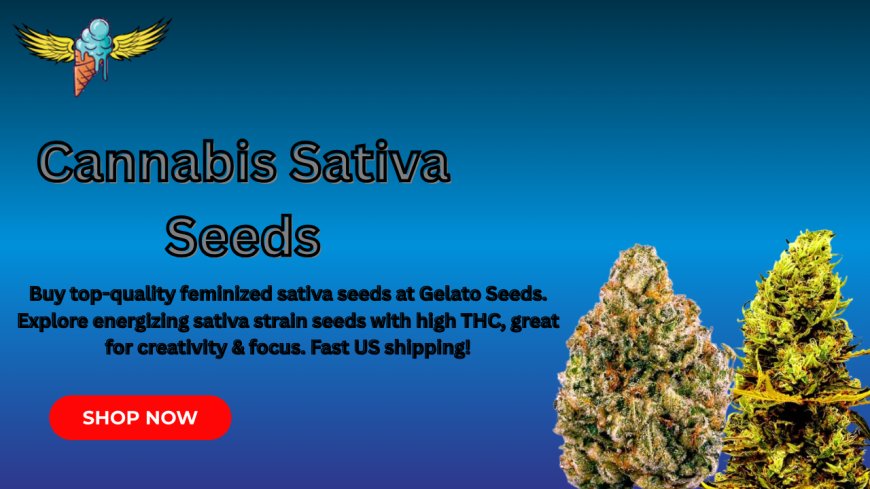 Ultimate Guide to Cannabis Sativa Seeds: Benefits, Strains & FAQs