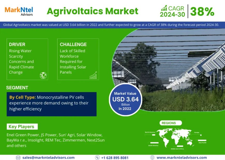 Agrivoltaics Industry Overview: Size, Value, and Forecast Outlook 2030