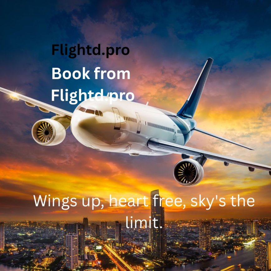 Discover the Smarter Way to Fly with Flightd