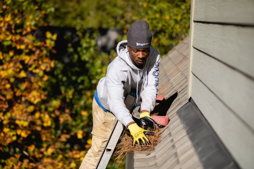 Top Reasons to Hire a Professional Gutter Cleaning Service