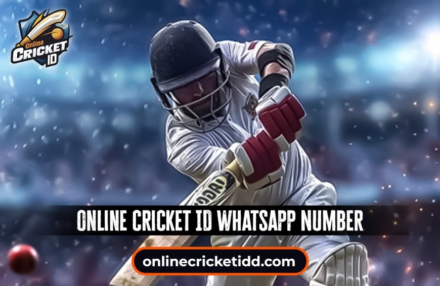 Online Cricket ID – Get in Touch on WhatsApp Immediately