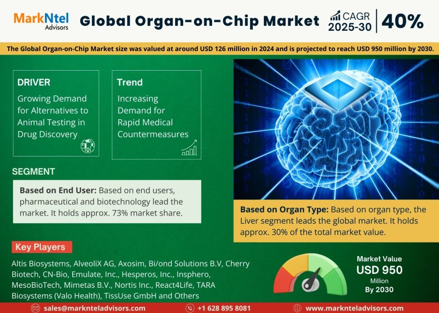 Organ-on-Chip Market Demand, Drivers and Opportunities 2025-2030
