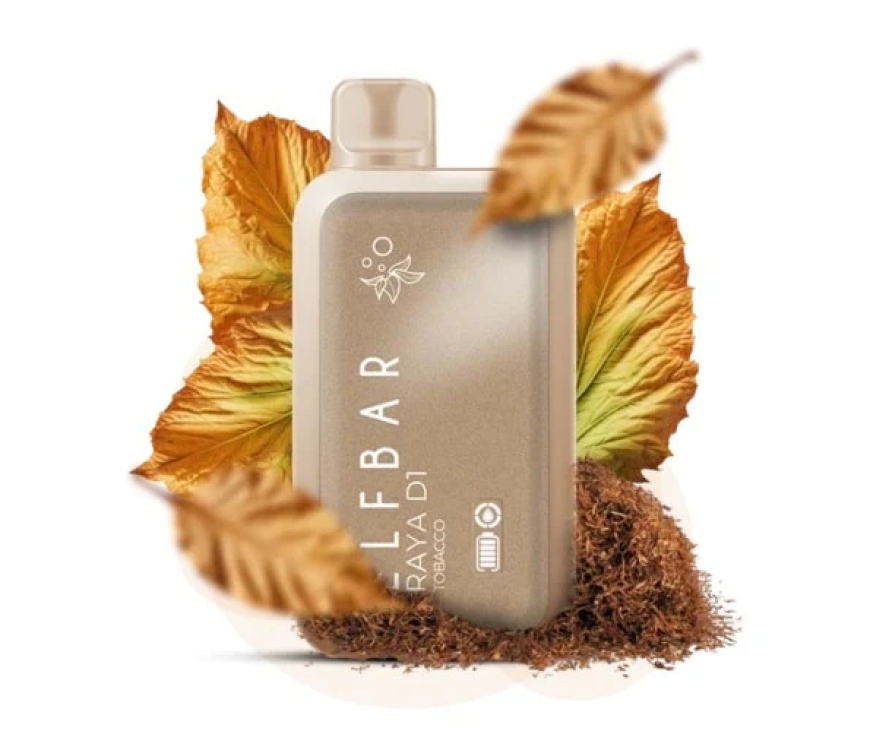 Discover the Best Elf Bar Disposable Vape in India: Long-Lasting, Flavorful, and Hassle-Free