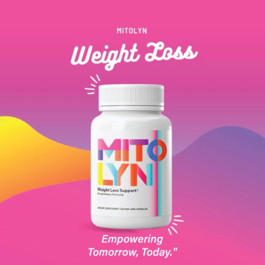 Mitolyn Belly Fat Burning Supplement – 180 Days Supply.