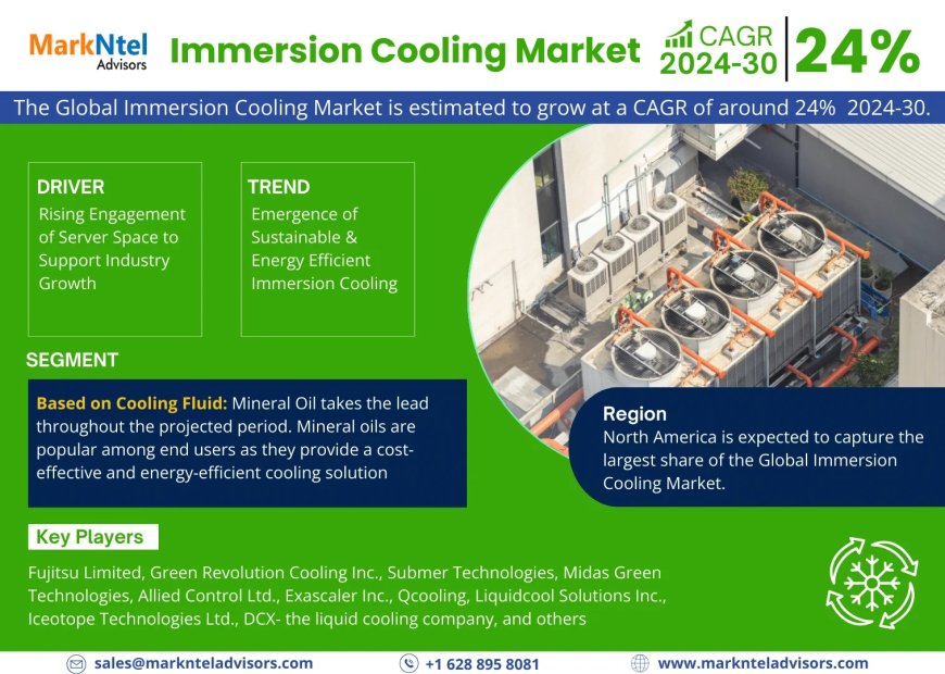 Immersion Cooling Market Demand, Drivers and Opportunities 2024-2030