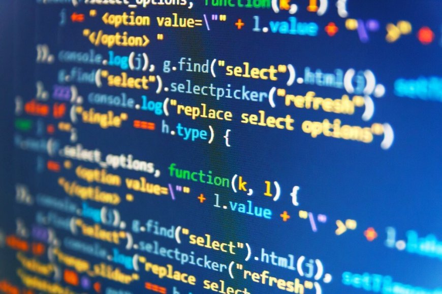 Choosing Between Freelancers and a Website Development Company in Karachi: What’s Best?
