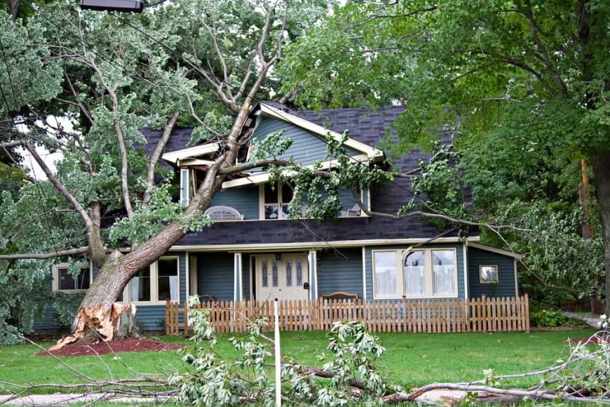 How Storm Damage Restoration Can Save Your Property