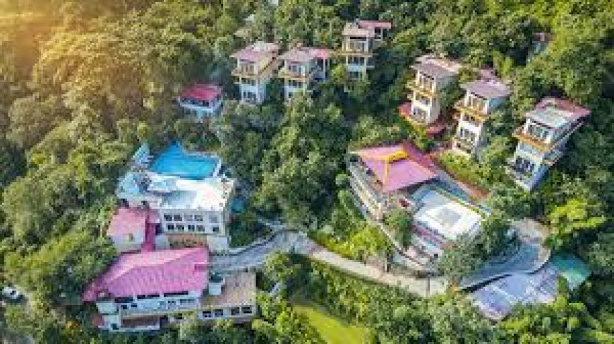 Reset Your Life with a Detox Retreat in Rishikesh
