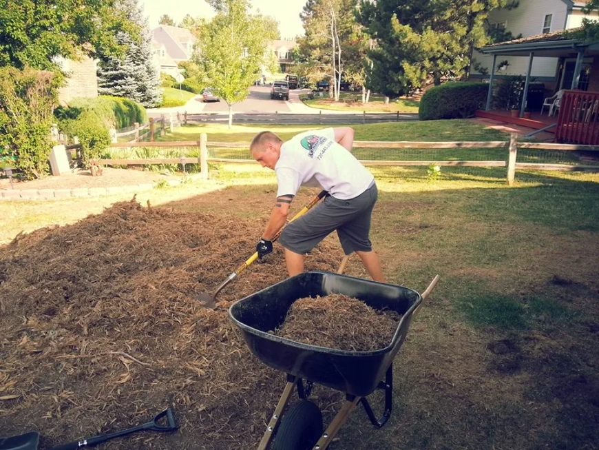 Revitalize Your Outdoor Space in Calgary with Expert Landscaping Services