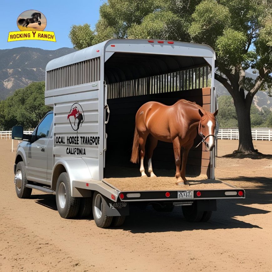 Ensuring Safe and Reliable Local Horse Transport in California