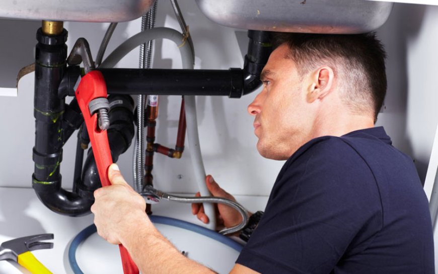 Best Renovation Contractor Services in Delhi