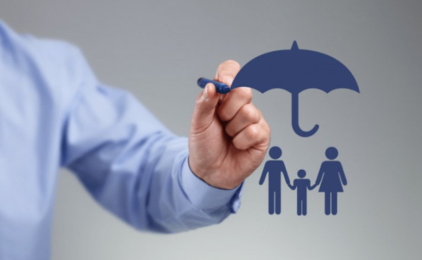 Term vs. Whole Life Insurance: Which Is Best for You?