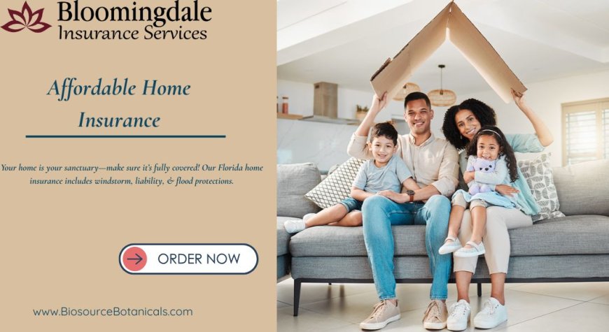 Affordable Home Insurance Solutions with Bloomingdale Insurance Services