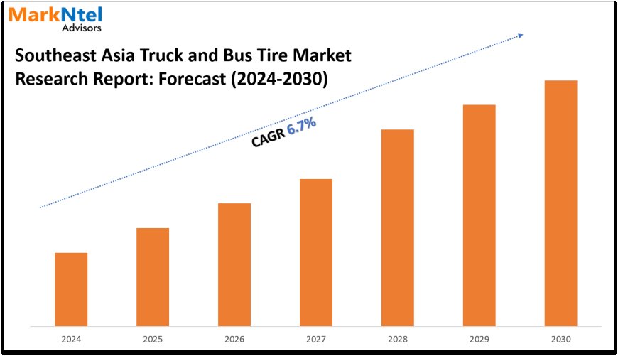 Southeast Asia Truck and Bus Tire Market Share, Size and Future Projections 2024-30