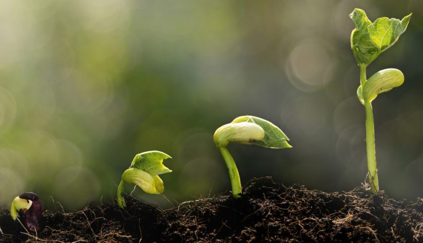 Spiritual Growth Through the Eyes of Dr. William Johnson