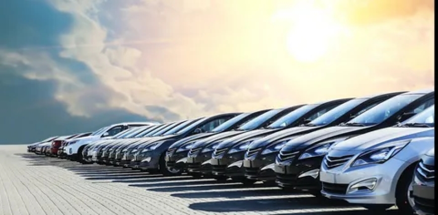 Vehicle Liquidation in Bloomfield | Expert Guide