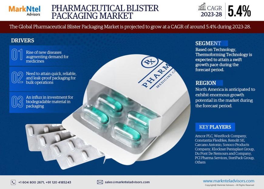 Pharmaceutical Blister Packaging Market Player Analysis and Growth Opportunities - 2028