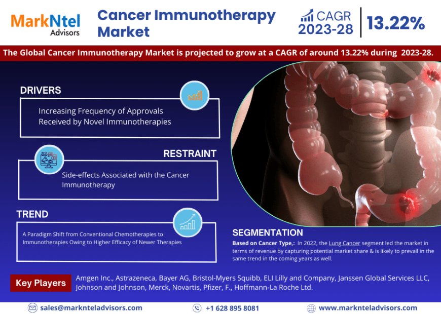 Cancer Immunotherapy Market Insights: Demand, Share, and Key Players 2028