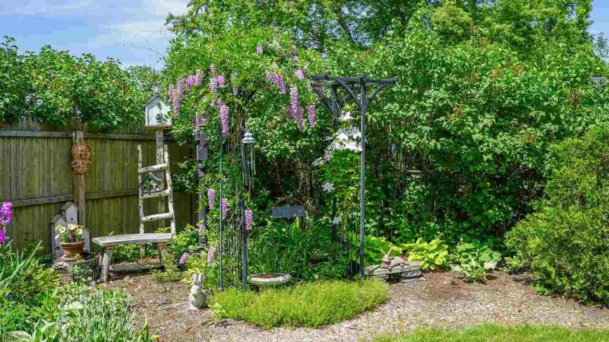 Tree Care Service: Keeping Your Trees Healthy, Safe, and Beautiful