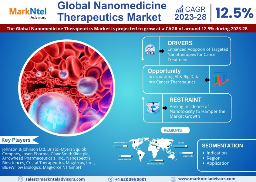 Nanomedicine Therapeutics Market Player Analysis and Growth Opportunities - 2028