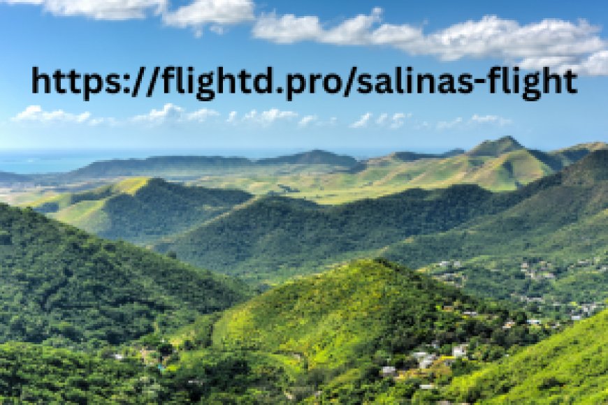 Salinas flight with Flightd: A getaway to California’s agricultural heart