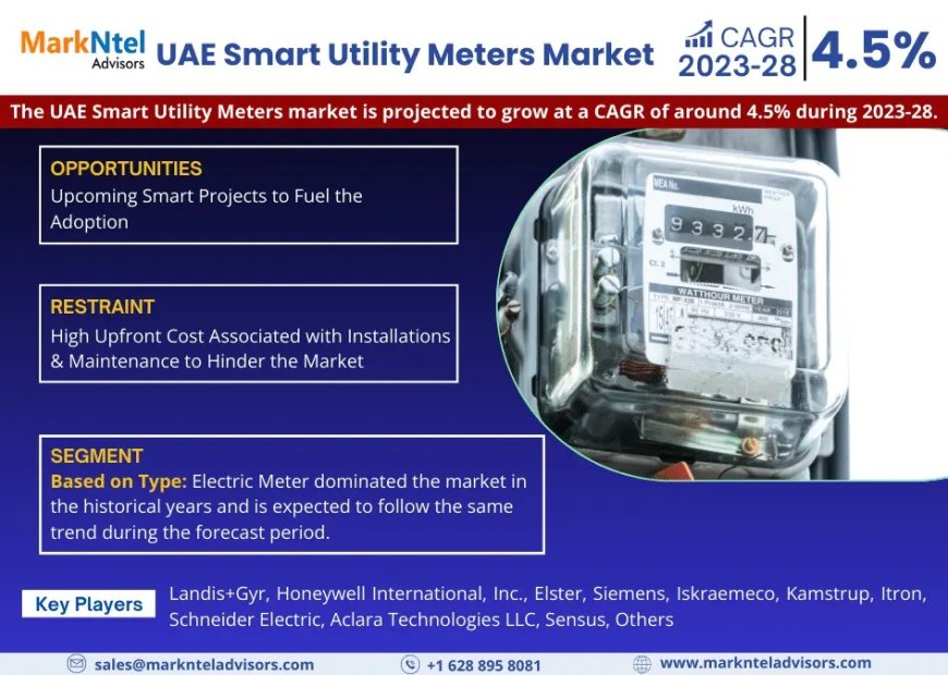 UAE Smart Utility Meters Market Player Analysis and Growth Opportunities - 2028