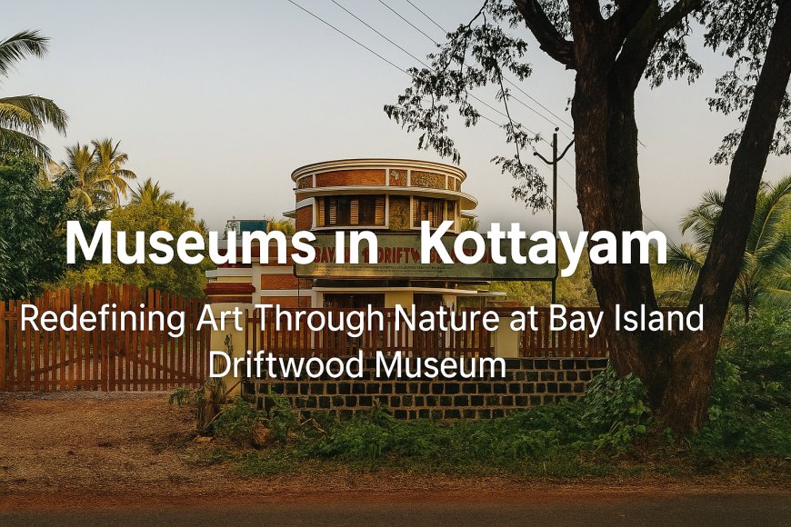 Museums in Kottayam – Redefining Art Through Nature at Bay Island Driftwood Museum