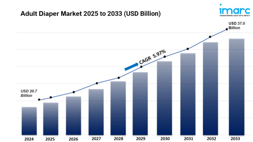 Global Adult Diaper Market Size, Share And Trends Report 2025-2033