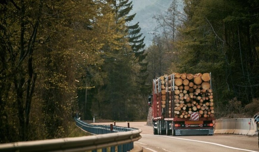 Structure Starts Here: Breaking Down Timber Requirements for Construction