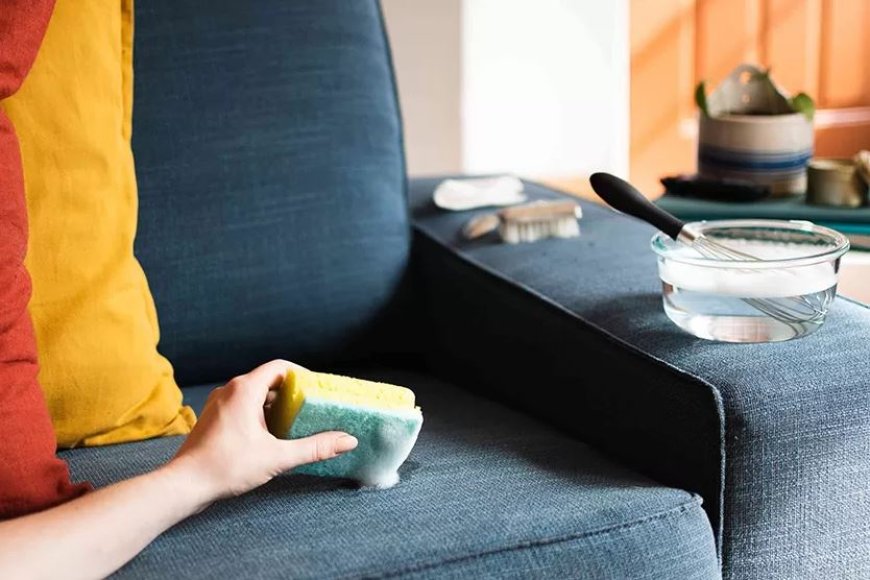Fastest Ways to Remove Stains from Your Sofa