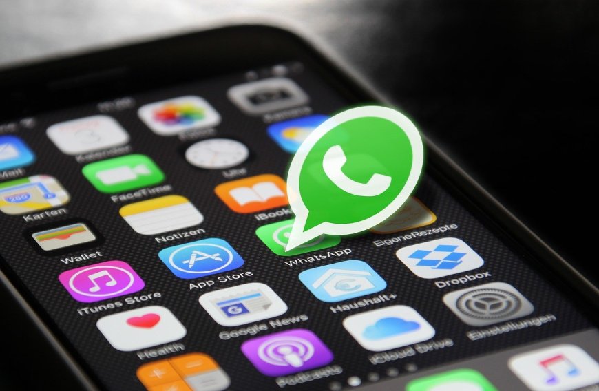 WhatsApp Business App vs API: What’s the Difference?
