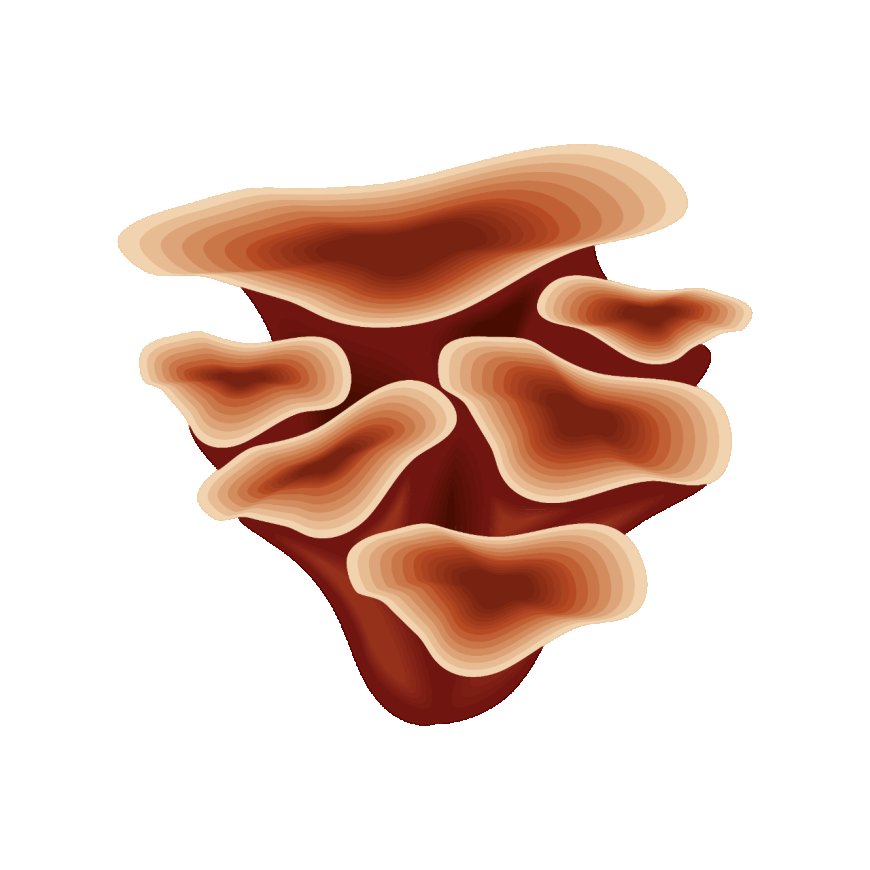 The Complete Guide to Cordyceps Extracts
