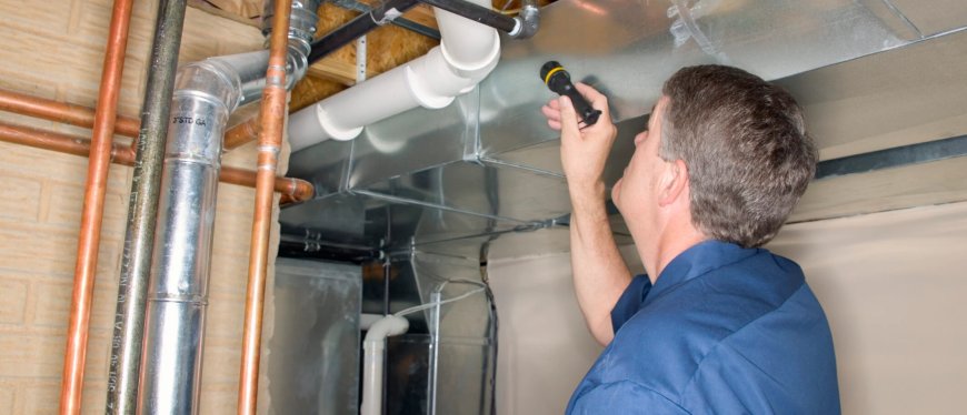 Best Home Inspector Services: What Sets Them Apart?