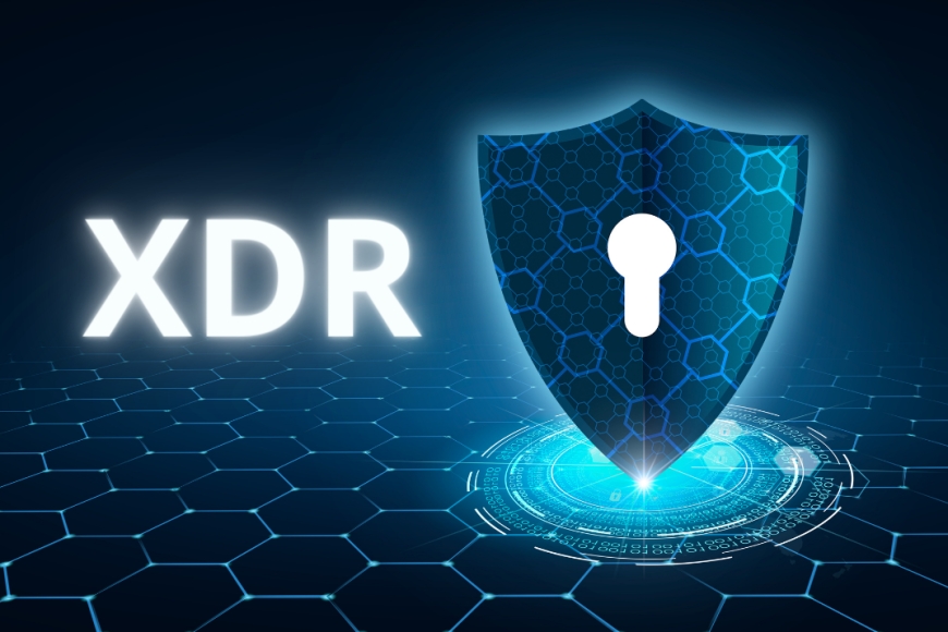 Open XDR vs Native XDR: Which Offers More Flexibility?