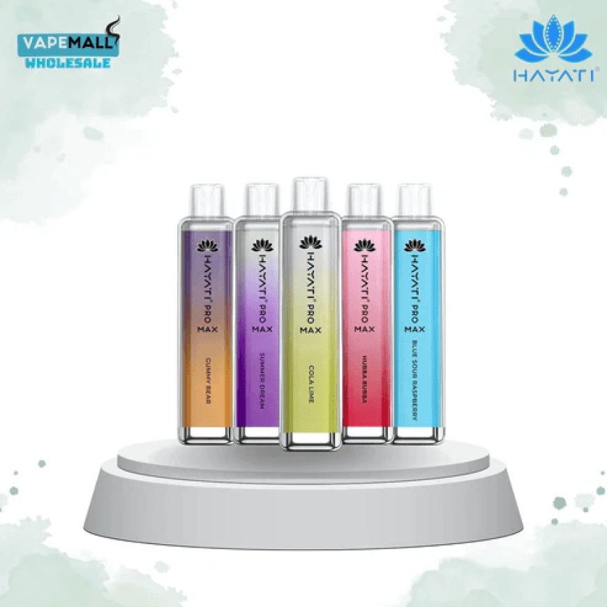 Hayati Pro Max 4000 Puffs – Box of 10 Premium Disposable Vapes
