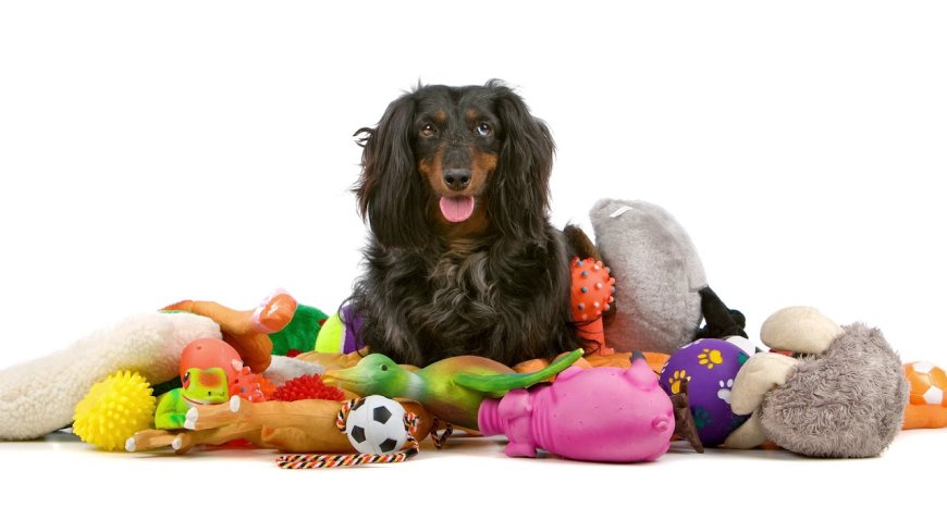 Muffin Costume for Dog and Bank Robber Dog Costume: Dress Up Your Pup with Muffin Mutts Bakery